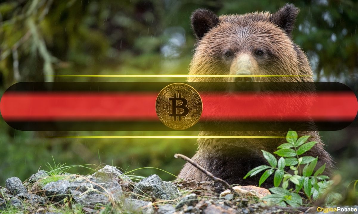Bitcoin (BTC) came under renewed selling pressure on Thursday as it slid below the $105,000 mark. The latest market downturn has reignited comparisons to earlier cycles. But on-chain data suggests the 2025 landscape is structurally stronger than in 2020 or 2021. Same Shock, New Bitcoin Unlike past corrections, when exchange reserves surged as investors rushed to sell, CryptoQuant said that today’s balances remain near decade lows. This reflected a leaner supply on trading venues. The scarcity of readily available Bitcoin dampens the potential for prolonged selloffs and creates conditions for quicker stabilization. Meanwhile, long-term holders appear largely unfazed by recent volatility. The Long-Term Holder Spent Output Profit Ratio (LTH-SOPR) has stayed close to neutral, in sharp contrast with the deep sub-1 readings of previous capitulations that signaled mass losses and panic exits. Instead of dumping positions, these holders are selectively realizing profits. History shows Bitcoin’s pattern of recovery. The March 2020 crash, for one, cleared excess leverage before whales began buying again. In May 2021, as well, large wallets repeated the cycle – selling high, then buying low. After the August 2023 US debt downgrade, another quick rebound followed as investors resumed. Each cycle demonstrated the market’s growing ability to absorb shocks and recover. The present setup “does not equate to structural weakness.” Unless a surge in exchange inflows triggers broad selling pressure, the analysis stated that Bitcoin’s current retracement looks less like a capitulation and more like a consolidation. BTC Still Leaving Exchanges Swissblock also observed that Bitcoin’s downturn reflects consolidation rather than capitulation. The analytics platform said that after weeks of heavy exchange outflows driven by long-term holders’ accumulation, some selling has resumed, but with significantly milder intensity. Despite the shift, BTC continues to flow out of exchanges, even as the pace is slower, indicating that investors remain largely confident and are not rushing to liquidate holdings. “The true impact of the weekend’s deleverage will surface as participants reposition. So far, on-chain behavior supports short-term bullish structural consolidation, not panic or forced selling.” The post No Capitulation, Just Consolidation: What This Bitcoin (BTC) Correction Really Signals appeared first on CryptoPotato .