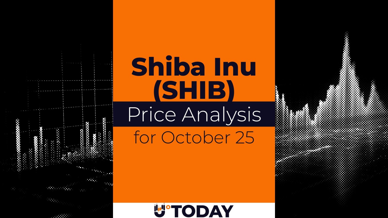 SHIB Price Analysis for October 25