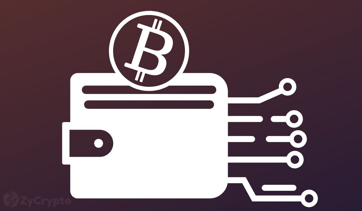 SpaceX Transfers Another $134 Million Worth Of Bitcoin To Unknown Wallets