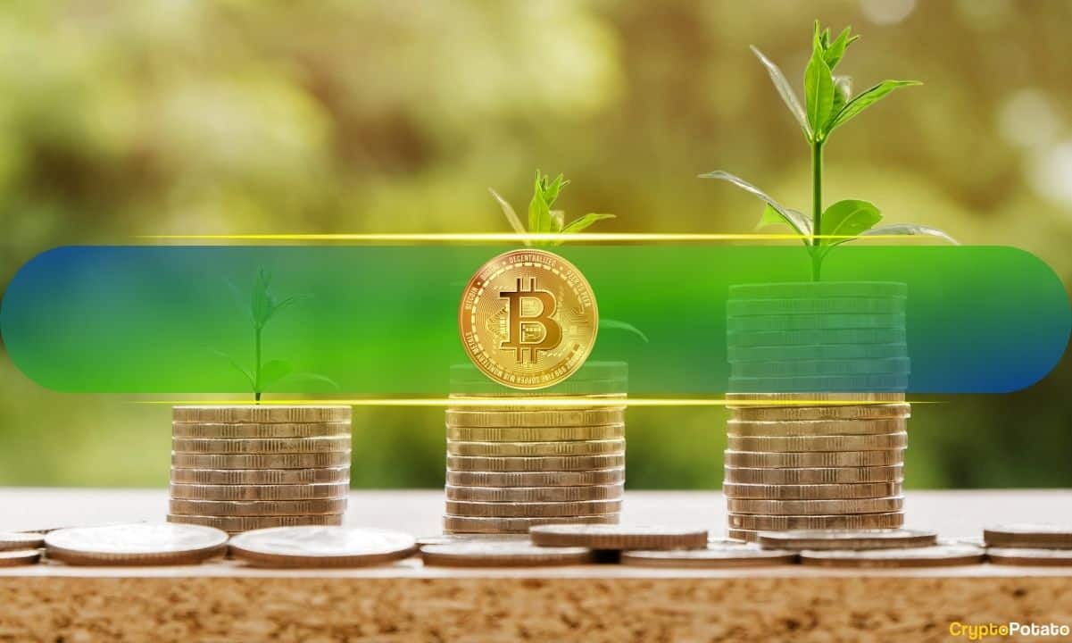 Bitcoin Accumulation Patterns Show Late-Stage Cycle Maturity, Not Definite End: CryptoQuant