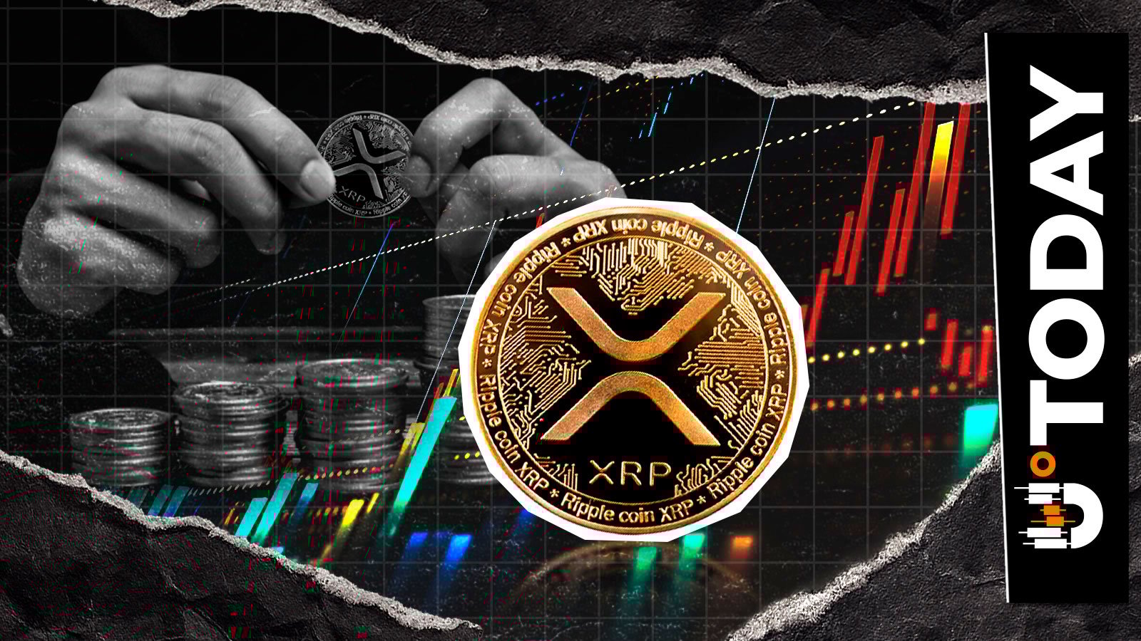 XRP Was Never Designed to be Cheap, Says BlackSwan Capitalist Founder