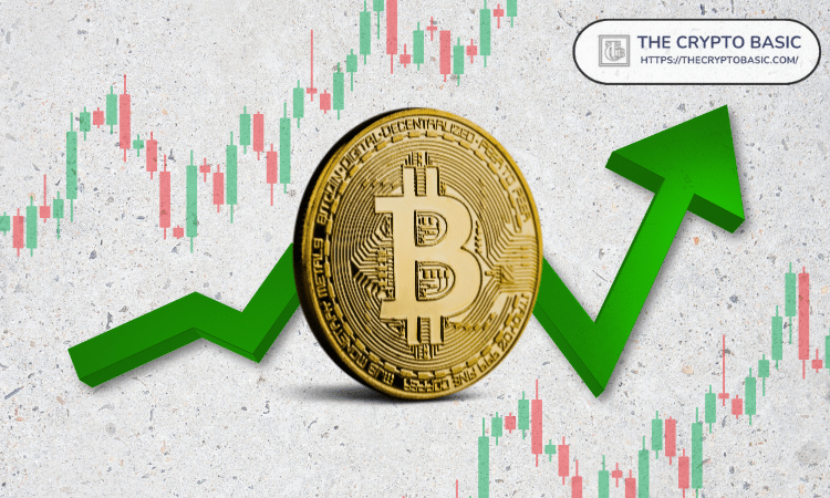 Here’s Why XRP Has a Better Chance to 100x from Here Than Bitcoin