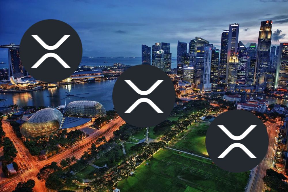 Top Trader: XRP Is About to Go on a Generational Run