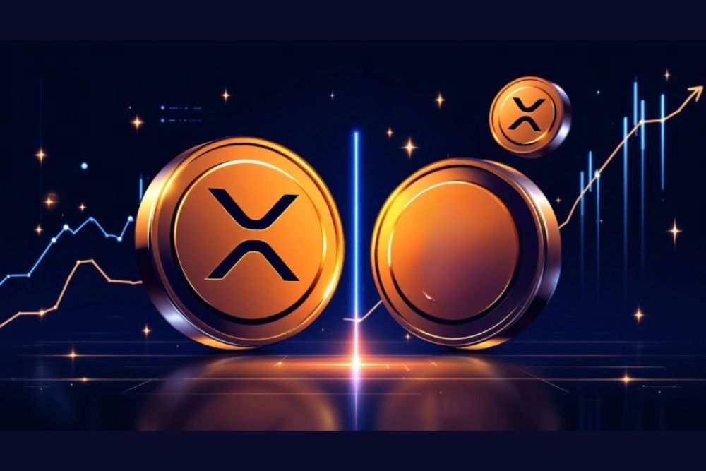 Another Critical Warning for XRP Holders