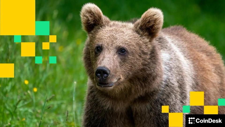 BTC Market Now `Extremely Bearish,` Says QCP: Asia Morning Briefing